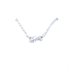 Cadena Rollo Brillo 060