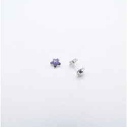 P. Pendientes Estrella de 6mm